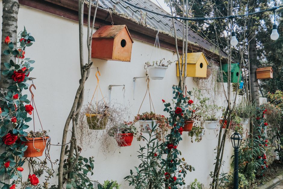 Birdhouses and vibrant hanging plants adorn a garden wall, creating a lively outdoor space.